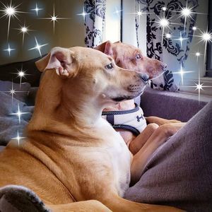 Meet your Posher, Melanie